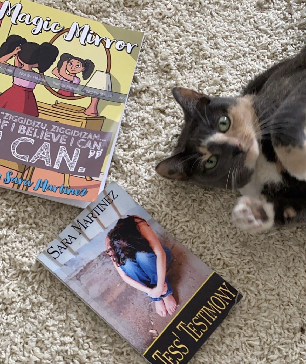 Sara's books with her cat